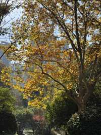 這裡不賣小商品｜「出售」最地道的義烏生活切片