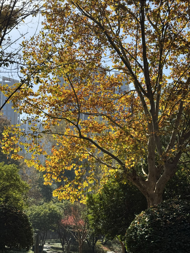 這裡不賣小商品｜「出售」最地道的義烏生活切片