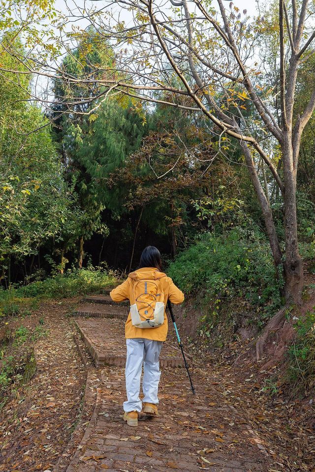 成都0.5h公交直達的秋日橘林徒步路線~#秋季去爬山南門 成都0.5h公交直達的秋日橘林徒步路線~#秋季去爬山南門