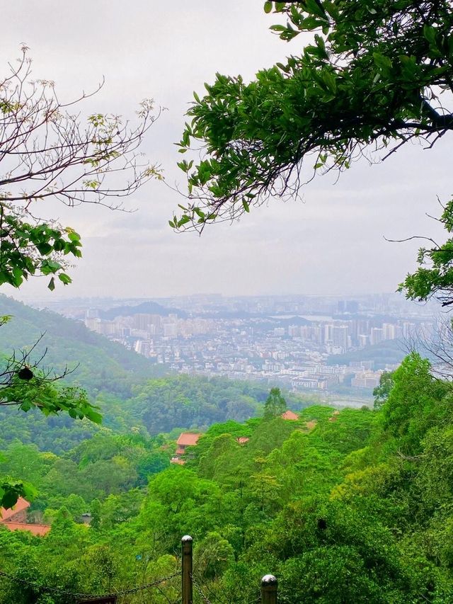【深圳兩天一夜深度遊】中山公園 + 文天祥紀念公園 【深圳兩天一夜深度遊】中山公園 + 文天祥紀念公園