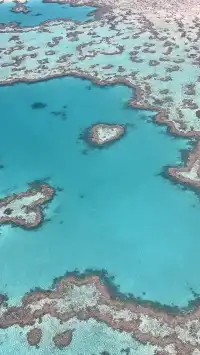 聖靈群島歸來不看海