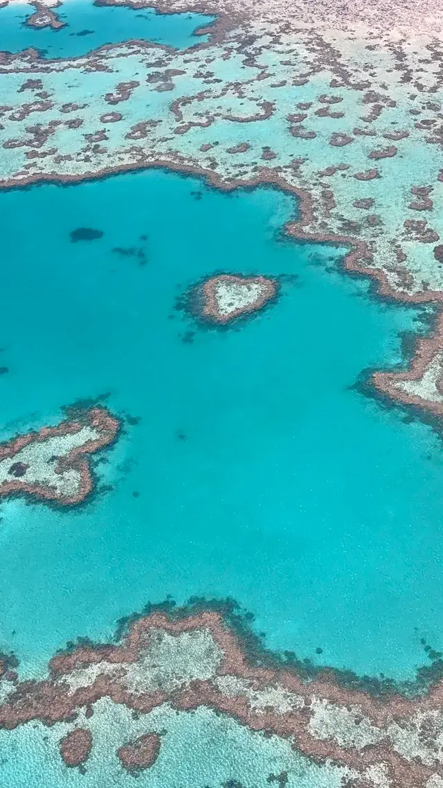聖靈群島歸來不看海