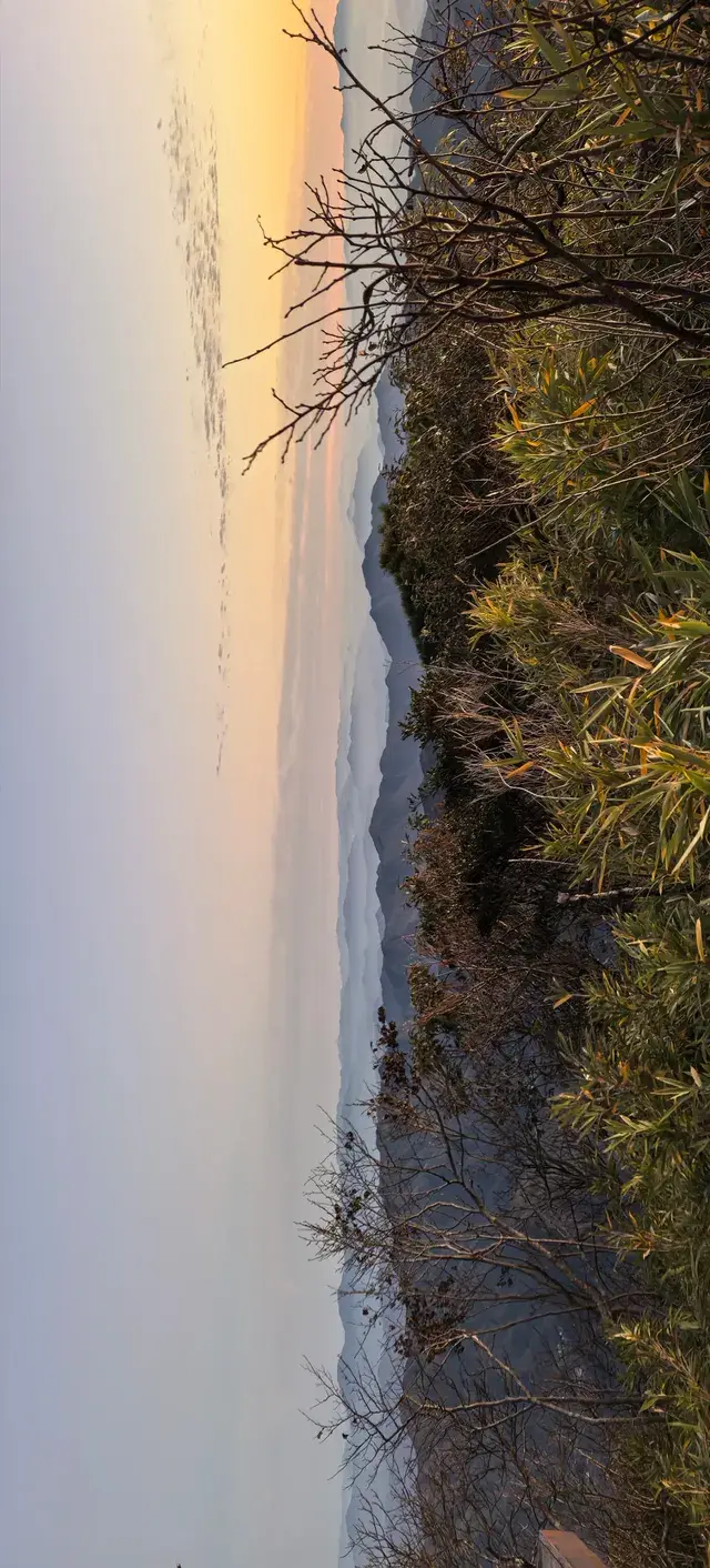 上海出發~三清山篁嶺兩日遊(三清山篇) 上海出發~三清山篁嶺兩日遊(三清山篇)