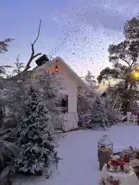 珠海下雪了在海邊拍一組冬日情書