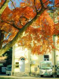 帶上這個以防萬一｜秋天的星星調色教程