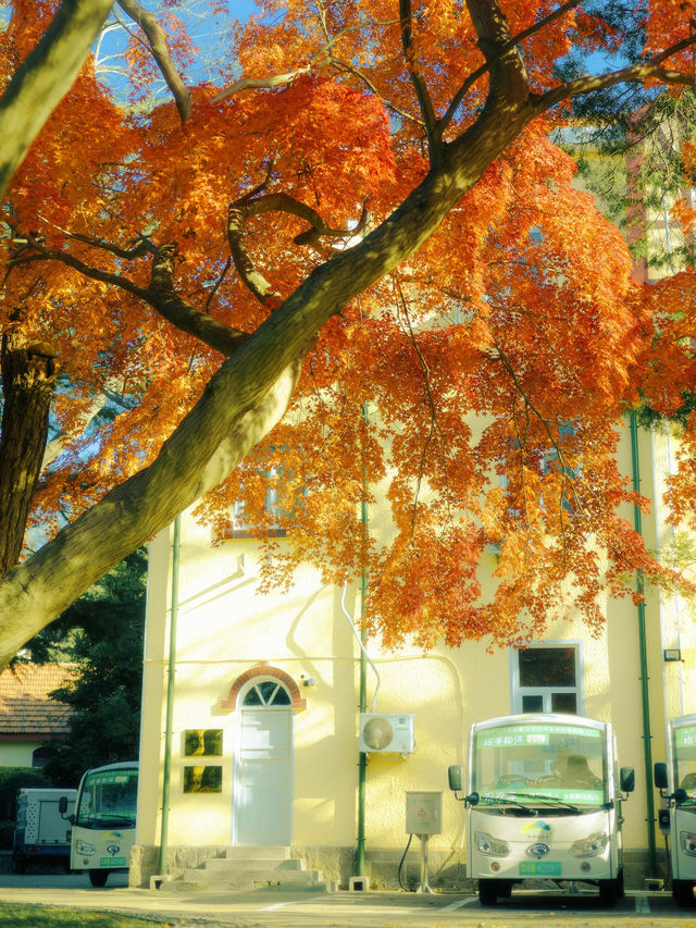 帶上這個以防萬一｜秋天的星星調色教程