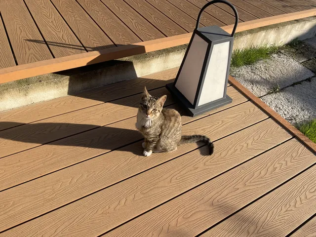 安徽宏村 安徽宏村