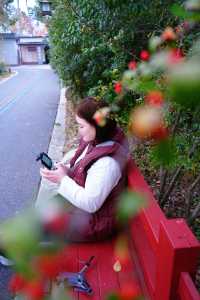 上海|又給大家找到一個拍照好去處絕對出片