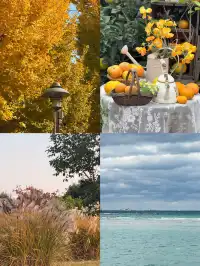 濟州島solo trip一人遊吃住行攻略