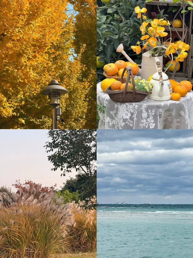 濟州島solo trip一人遊吃住行攻略 濟州島solo trip一人遊吃住行攻略