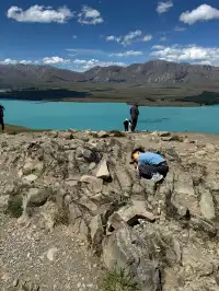 帶5歲娃闖新西蘭南島11天自駕!旅行路線篇