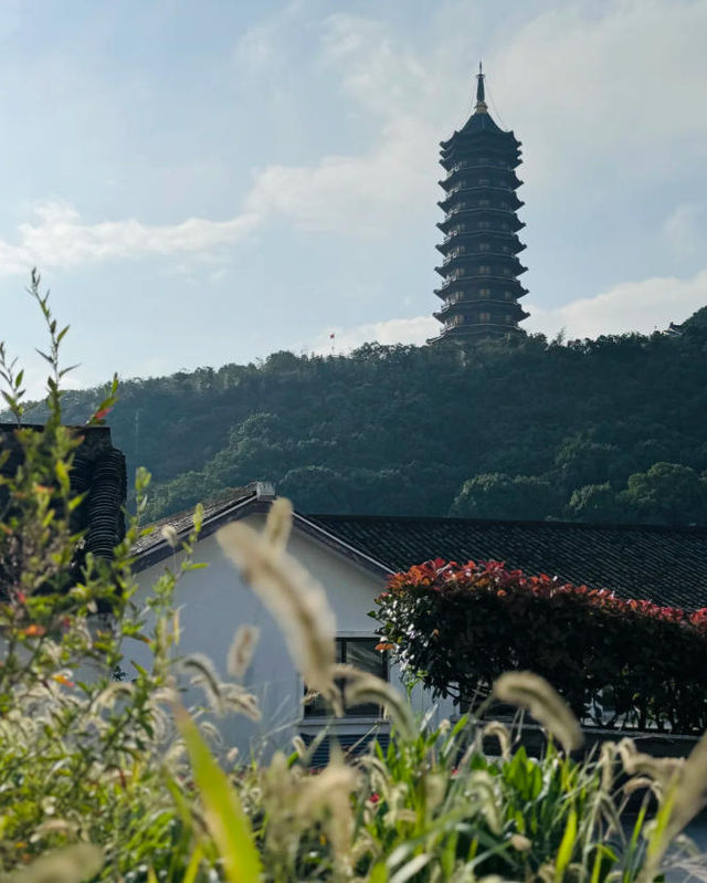 週末去哪兒來舟山吧2日遊攻略 週末去哪兒來舟山吧2日遊攻略