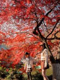 虞山秋日限定常熟紅葉美翻了丨附機位