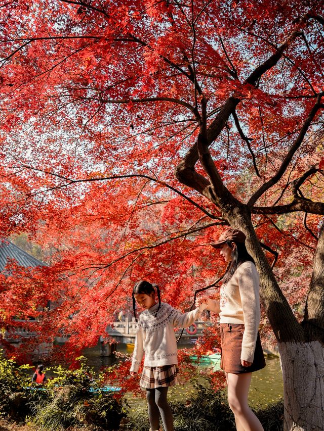 虞山秋日限定常熟紅葉美翻了丨附機位