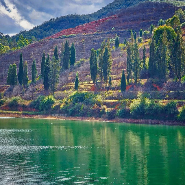 【雲南德雲洲情侶自駕3天攻略】浪漫邂逅大自然，開啟你的夢幻之旅！    爆點預警： 這