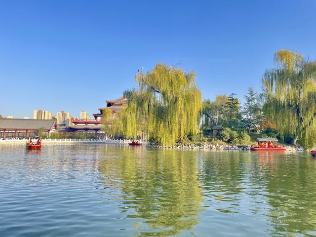 西安興慶宮｜在皇家園林裡接住最後一捧銀杏