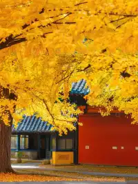 避坑!冬天別從三皇寨上山了這條路線快收好