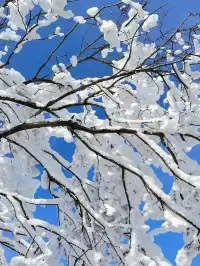 12月淡季去郴州旅遊攻略,趕緊碼住超全