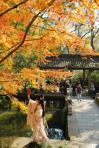 ภาพถ่ายจริงของเมืองหางโจวในฤดูใบไม้ร่วง วันที่ 4 ธันวาคม: เส้นทางชมวิว "ฤดูใบไม้ผลิเสือ"