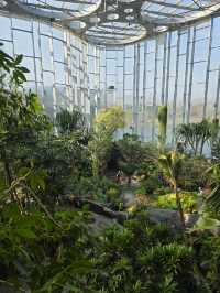 Shanghai Greenhouse Garden – всё, что нужно знать