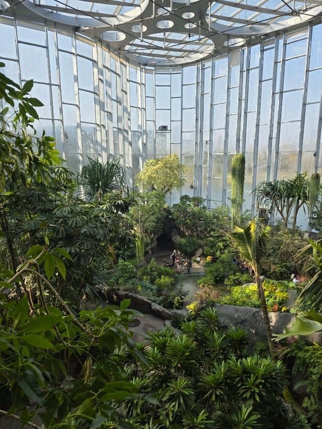Shanghai Greenhouse Garden – всё, что нужно знать Shanghai Greenhouse Garden – всё, что нужно знать