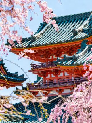 桜の季節カウントダウン！2026年日本全域の桜観賞ガイド