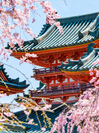 桜の季節カウントダウン!2026年日本全域の桜観賞ガイド