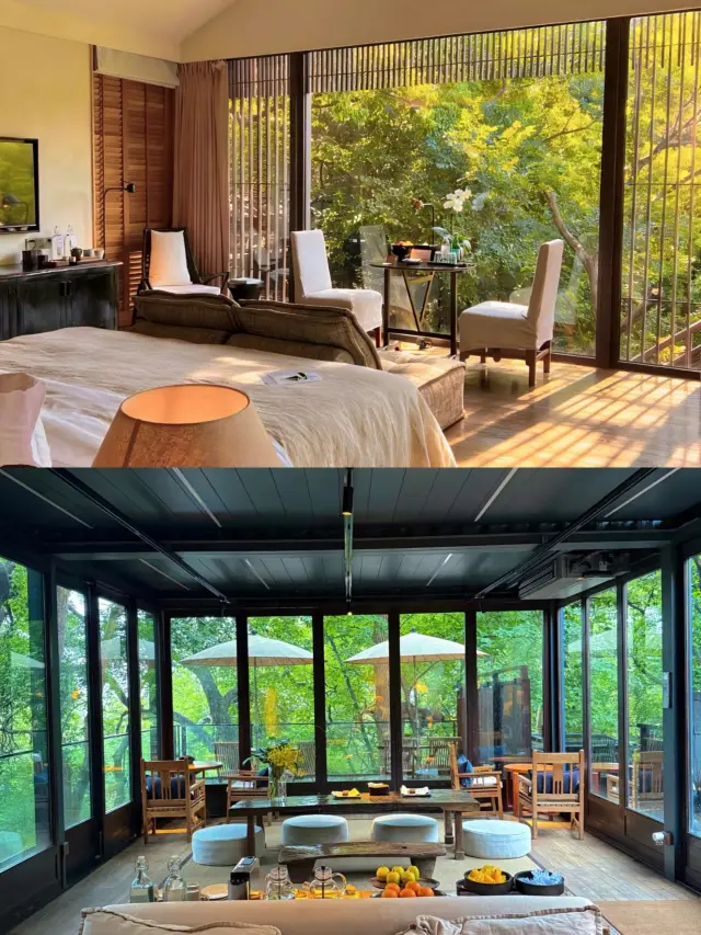 Hangzhou West Lake! No exaggeration! The most chill hotel I've ever stayed at