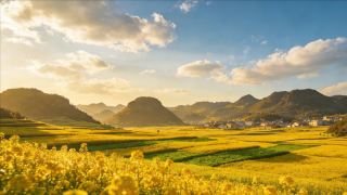 Карта мест для любования цветами на 2026 год и график периодов цветения + 9 потрясающих мест для фотосъемки.