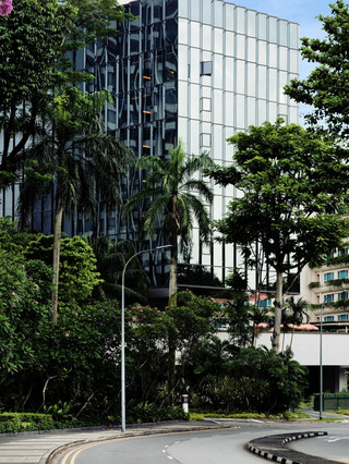 Must-stay in Singapore! This trendy hotel is absolutely amazing
