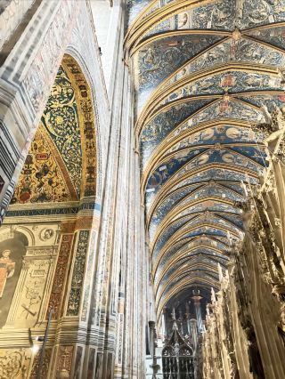 Stunning Medieval Town Albi in Southwest France The Red Brick Old Town is Absolutely Breathtaking!