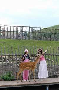 北京40℃快跑！3.5h闖入16℃七彩森林避暑天花板