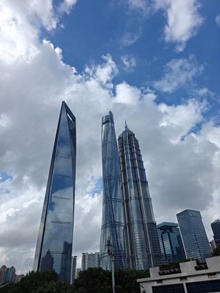 A hidden free green lung in Lujiazui, perfect for birdwatching with kids in the city