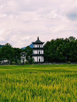 旌德江村｜皖南被低估的寶藏千年進士村