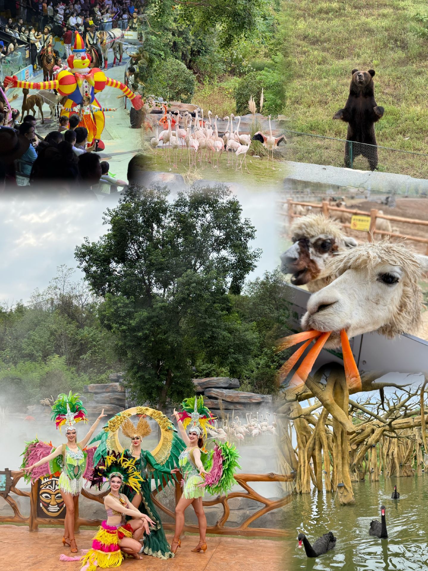 National Day Getaway | The Latest Guide to Visiting Jiudingshan Zoo