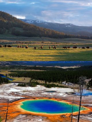 4日間の秋のアメリカ旅行攻略、そのまま真似してOK！