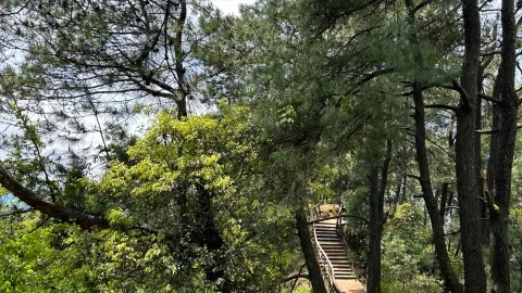 Hide away in Wuhua Mountain, Linshui, breathe the air and watch the sea of clouds | Off-the-beaten-path mountain trip in eastern Sichuan — traveler post in Linshui