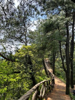 Hide away in Wuhua Mountain, Linshui, breathe the air and watch the sea of clouds | Off-the-beaten-path mountain trip in eastern Sichuan