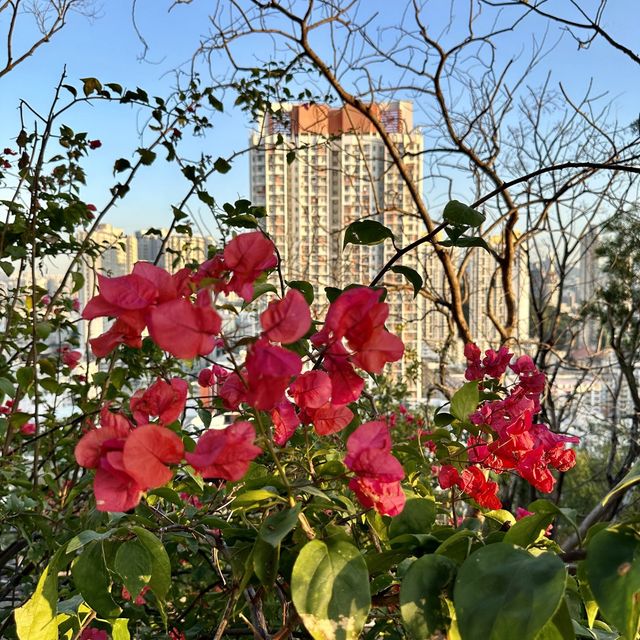鬧市輕鬆小登山