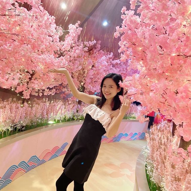 浪漫櫻花鳥居長廊 櫻花🌸