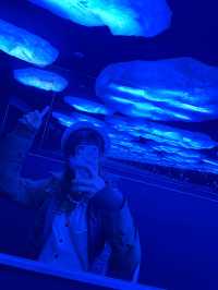 【全方位環繞主水槽的水族館】