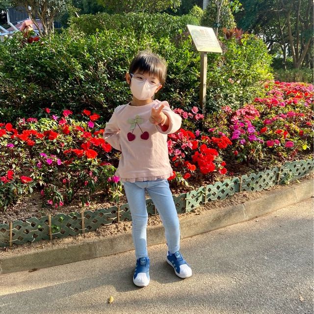 繡球花打卡遊 📍元朗