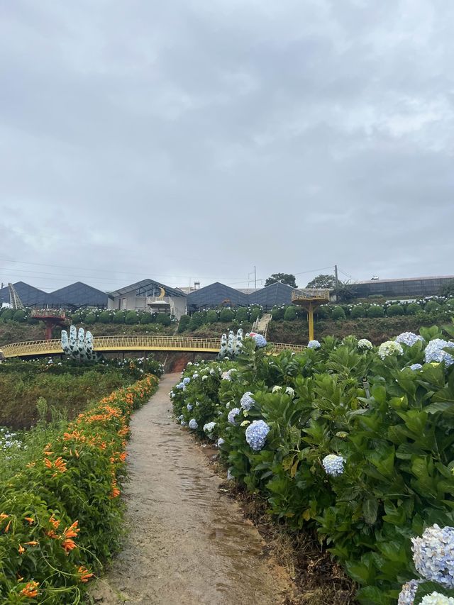 เที่ยวดาลัทเมืองเล็กๆในหุบเขา 🏔️🏘️✨