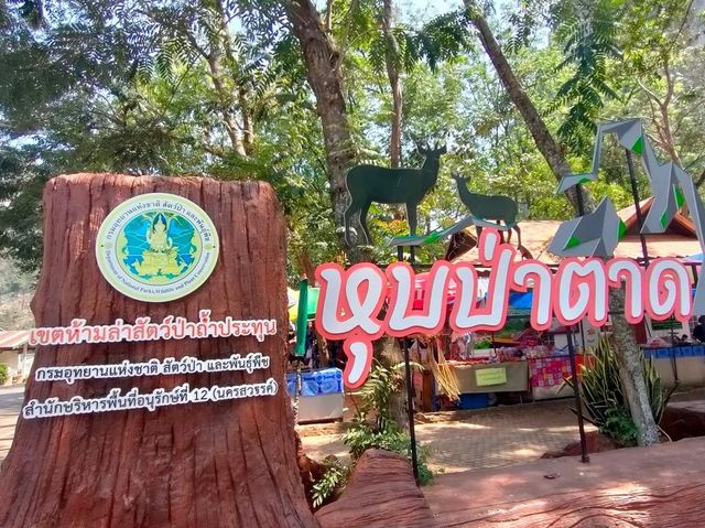 หุบป่าตาด มหัศจรรย์ถ้ำ ชมป่าดึกดำบรรพ์