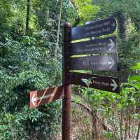 Mount Faber to Henderson South Ridges
