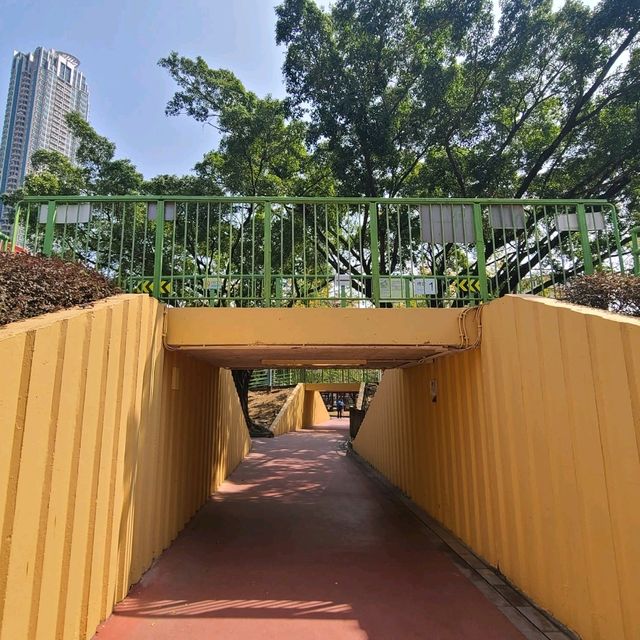 九龍城的特色公園