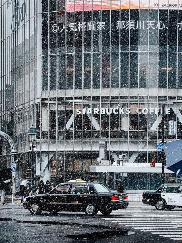 Shibuya crossing in a snowy day❄️🇯🇵