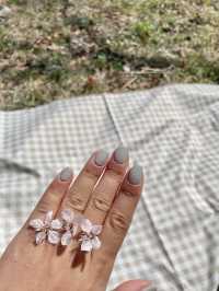 대전 봄꽃의 성지는 바로 여기! 한밭수목원🌼
