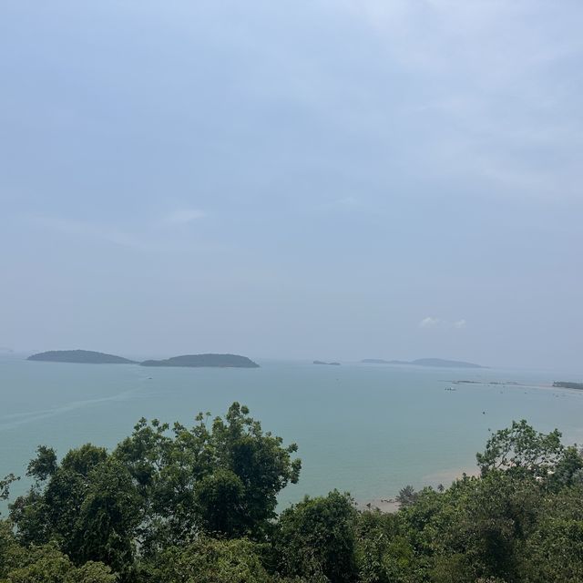 ชุมพรแบบงงๆ