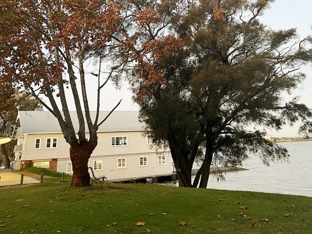 ArvoWalk!😉😜Matilda Bay & St GeorgeCollege😎